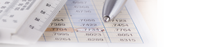 iTariff Simulator –the-exact-calculation-of-expected-revenues
