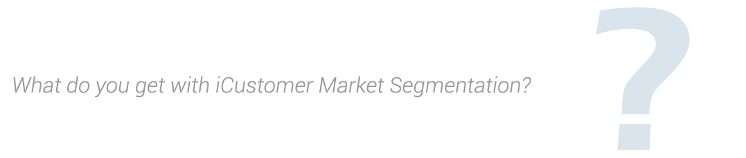 what do you get with iCustomer Market Segmentation