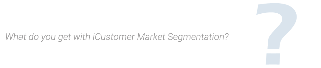why what do you get with iCustomer Market Segmentation